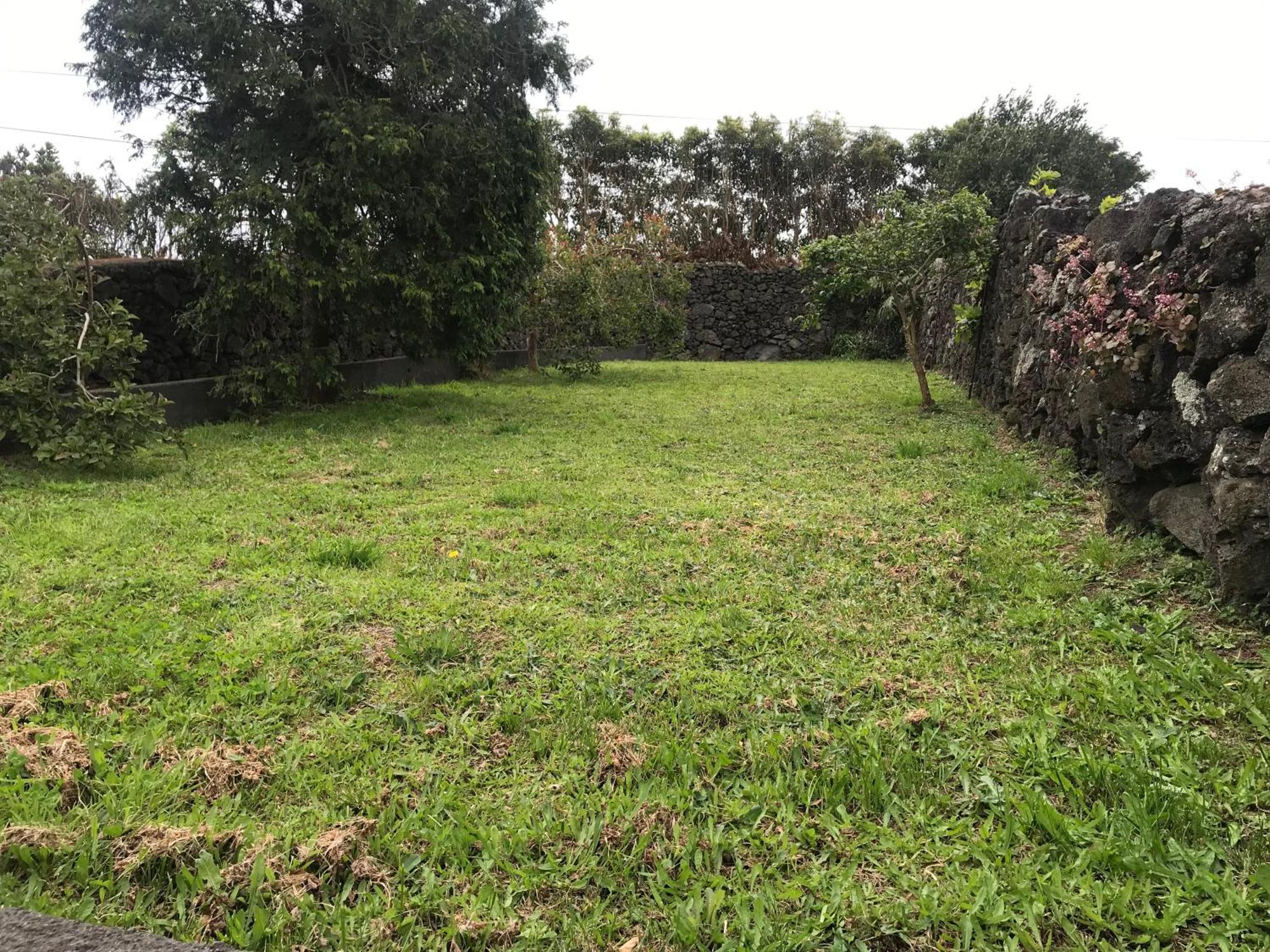 הוילה Pico da Pedra Casa Dos Cedros מראה חיצוני תמונה
